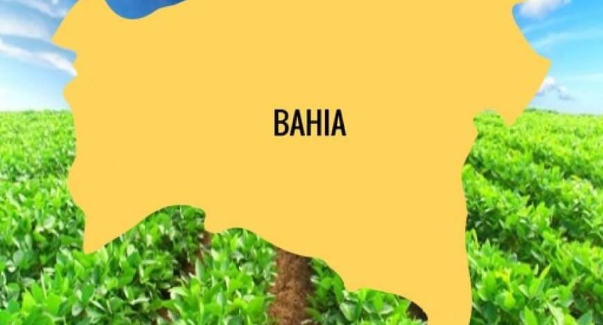 O forte crescimento do Agronegócio na Bahia